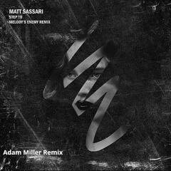 Matt Sassari - Step To ( Adam Miller Remix)