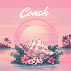 Conch