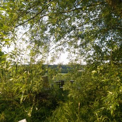 A full on journey to peace in trance | Knospi GOA 05.07.2024