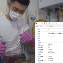 프리스타일  Y 최홍철 리믹