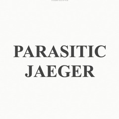 SWINGING DOORS AND TINKERED IVORIES (THE DUAL IS ABOUT TO COMMENCE)