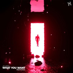 Jay Hertz - What You Want (ONE MTRX Remix)