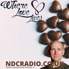 Where Love Lives Episode 17 DJ Paul Goodyear SanFranDisko