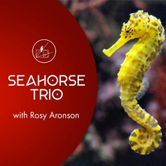 Seahorse Trio