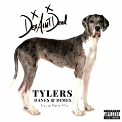 TYLERS DANES & DIMES House Party Vibes Vol.1