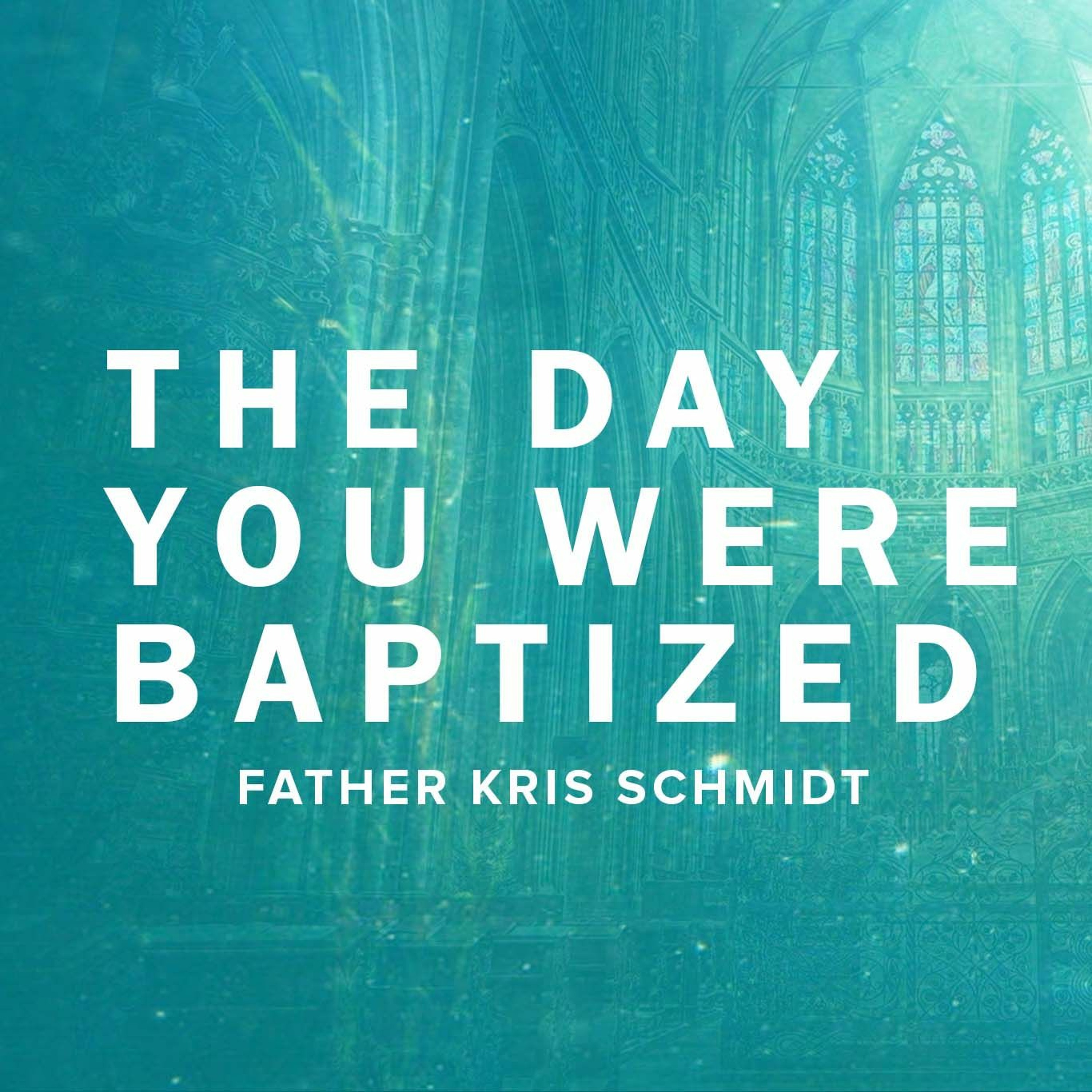 The Day You Were Baptized episode artwork