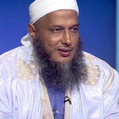 نماذج من نعيم أهل الجنة_الشيخ محمد الحسن الددو