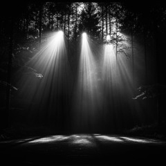 Entheogen(set)