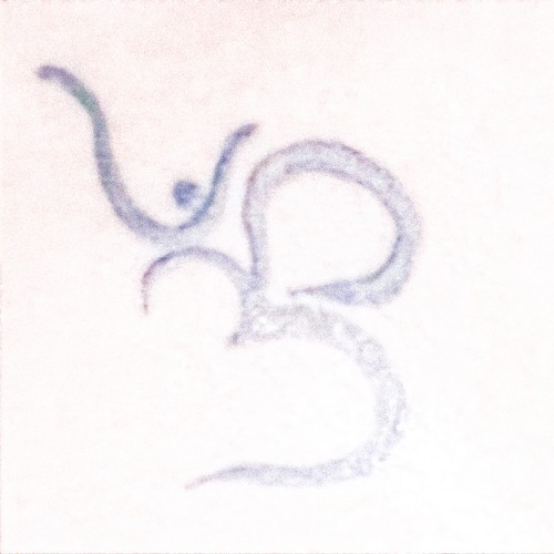 da best rapper alive