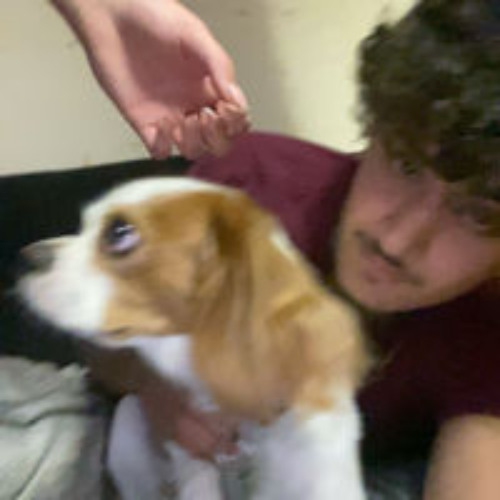 i dont remember making this