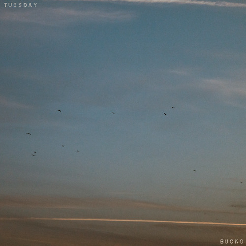 Tuesday - Bucko