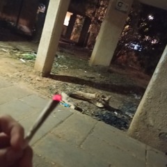 היידה פצפצים