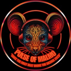 Pulse Of Malmo Phase 3.1