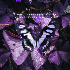 Monomaniac [Bandcamp Exclusive]