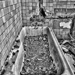 7. Star Studied Skies