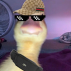 WONTON GOBLINZ