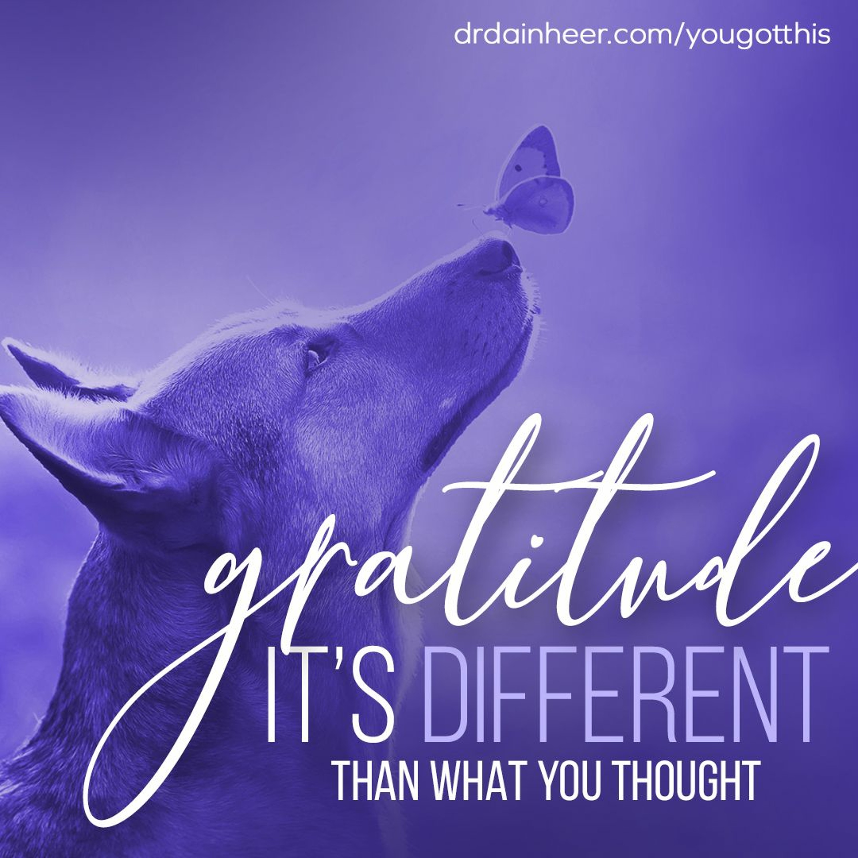 You Got This: Gratitude episode artwork