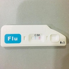 A형 독감 Type A flu