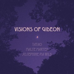 Visions of Gideon - Malte Marten & Josephine Pia Wild