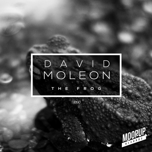 David Moleon - The Frog