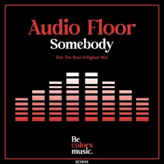 Audio Floor - Somebody (Original Mix)