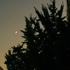 [cover] After the love has gone