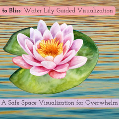 BPD to Bliss - Float: A Safe Space Visualization for Overwhelm