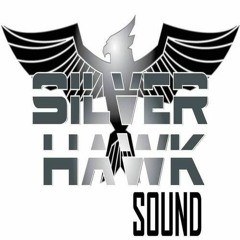 Silver Hawk 90(Super Cat)