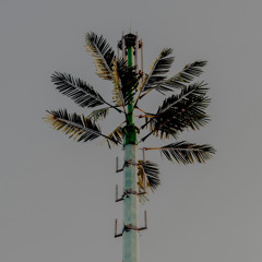 Wherever You're Going Take Me With You