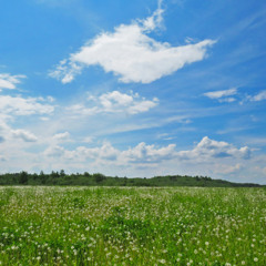 Clear Skies Ahead