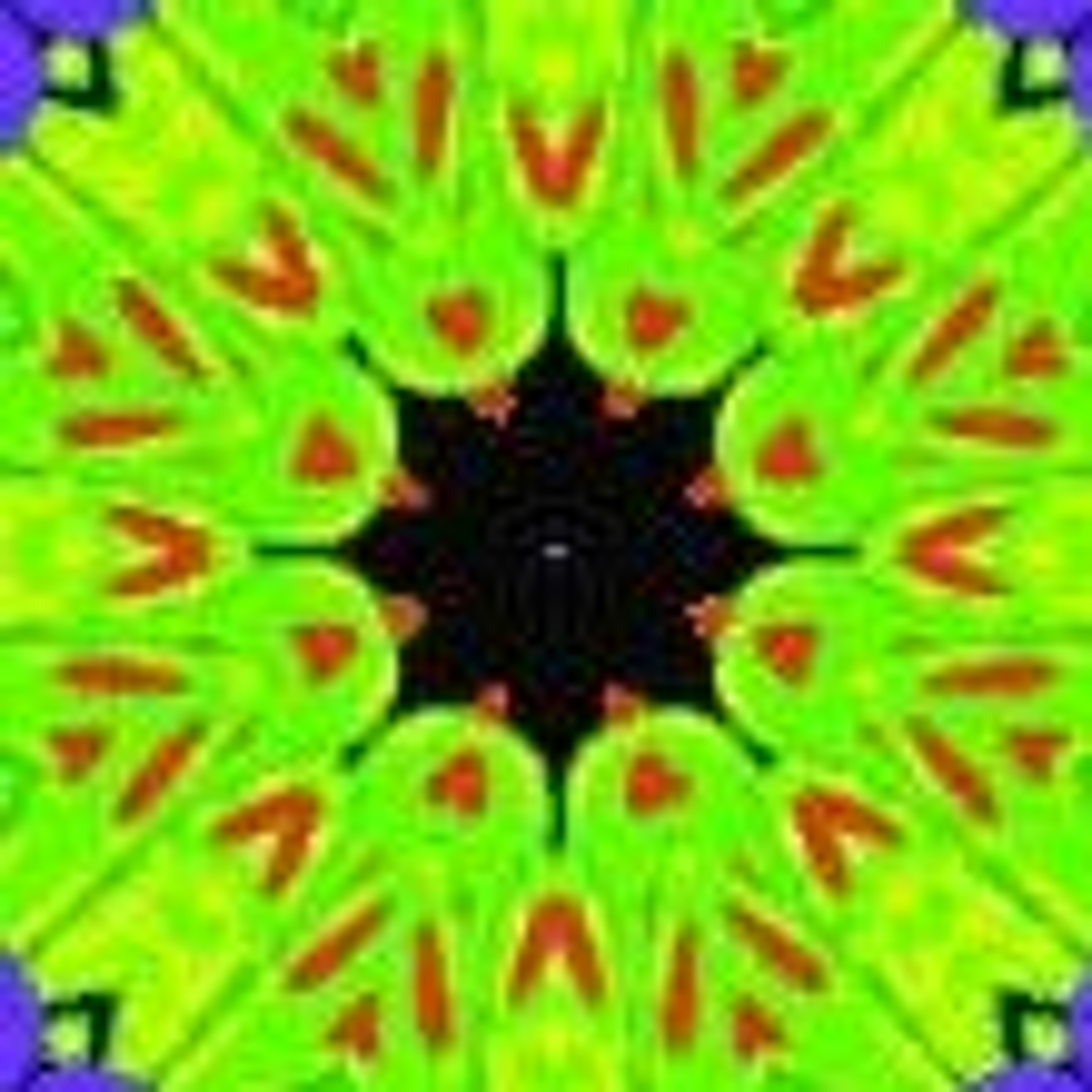 Ben Evans Music RSS Feed