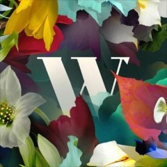 Recorded live @ The Hustle, Wilderness Festival 03.08.19