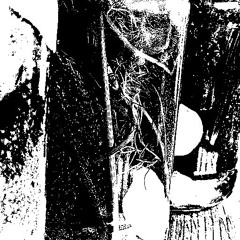 172 Fryday Crew Raid Train - 2025 - 06 - 13 (DJ Mix) [Drum and Bass]