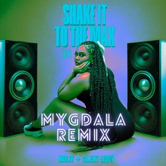 SHAKE IT TO THE MAX (MYGDALA REMIX)