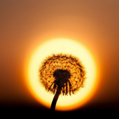 Sei wie du dich Zeigst "SonntagsRework"