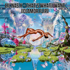 Lil Nas X - THAT’S WHAT I WANT (CLAMOR Flip)