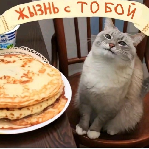 Акула - Такая любовь