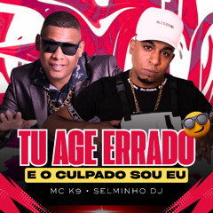 TU AGE ERRADO E O CULPADO SOU EU ((SELMINHO DJ)) MC K9