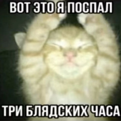 собачий вальс(апфс кавер)