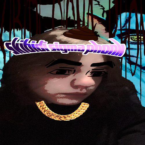 Skibidi Sigma Phonk 300 fps