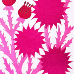 Thistle