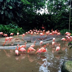 KidCat - God Damn Ft BBoy Santos