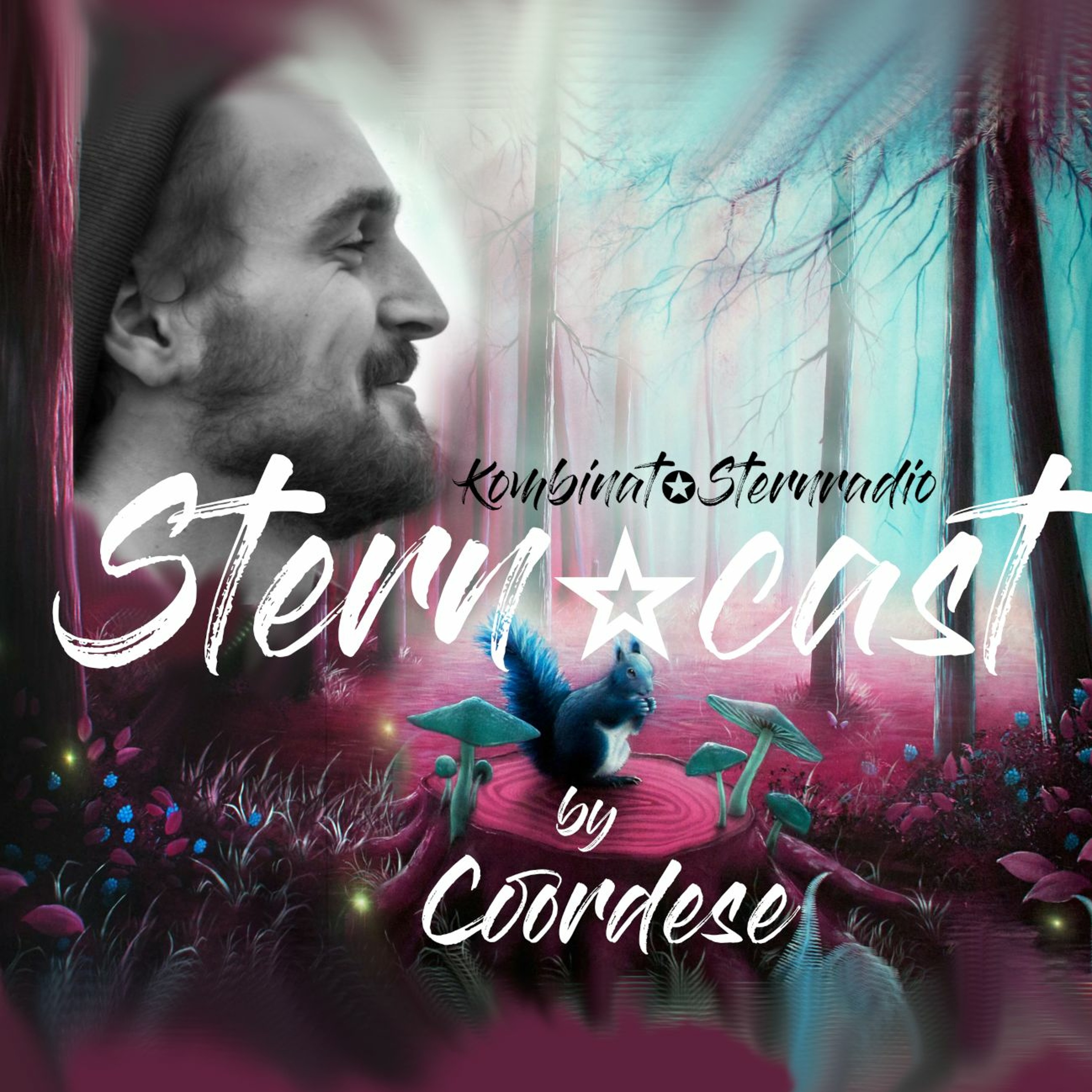 Kombinat✪Sternradio