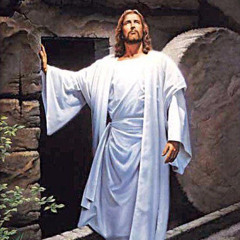 I Dont Need No One  Biblical Motivation For Lone Wolves