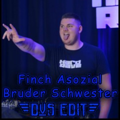 Finch Asozial - Bruder Schwester (DvS Edit)
