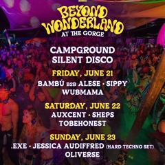 Beyond Wonderland Set 06/22/2024