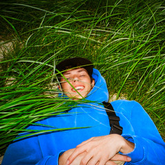 The brainrot finally got me