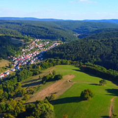 BNWO - Germany (TEASER)