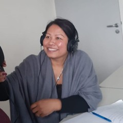 C'est quoi, le centre socioculturel Les Renards à Nantes ?