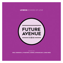 Echoes of Love (Shell Robinson Remix)